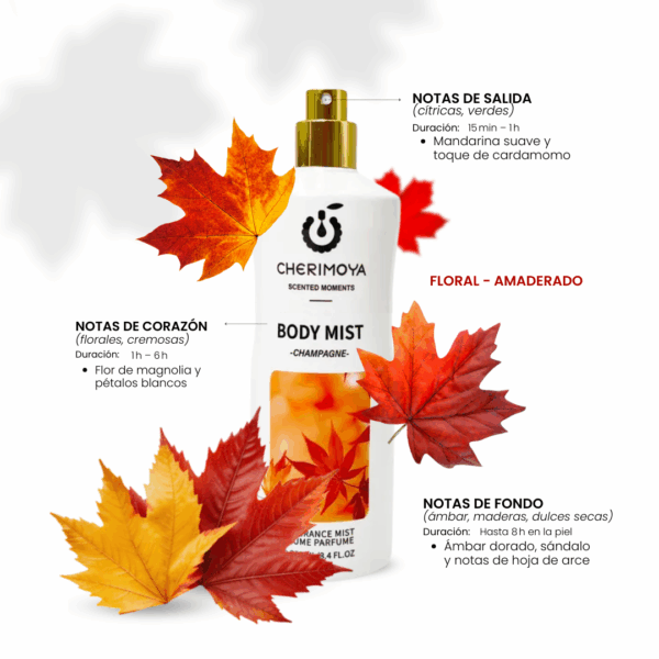 CARRUSEL - IG (5) 009 Champagne Fragrance