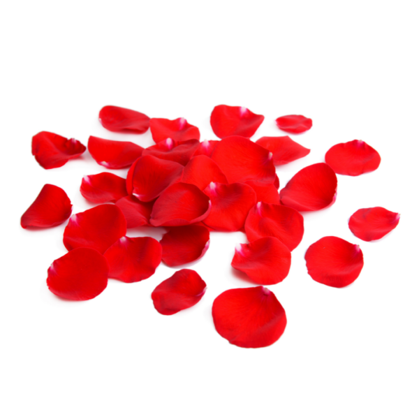 Productos - (16) 010 Cute Girl Fragrance