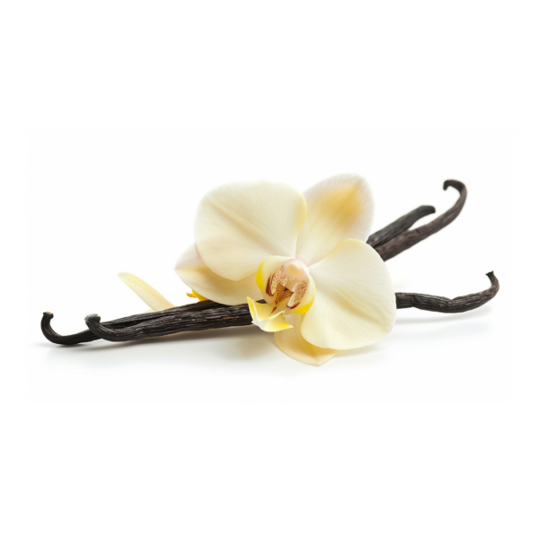 005 Jungle Juice Fragrance