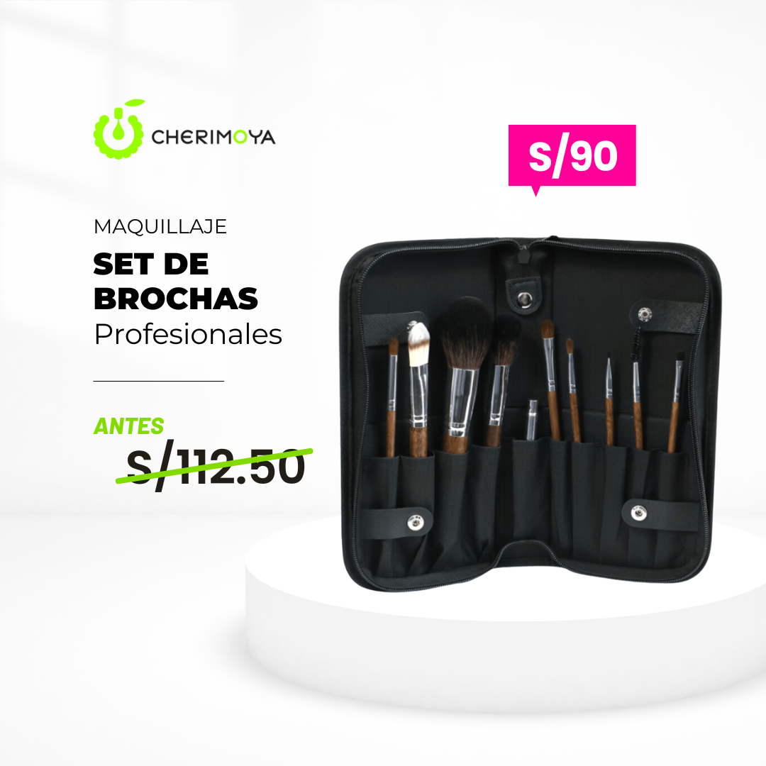 set de brochas profesionales