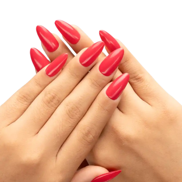 Set Esmaltes Primavera / Bloom Your Color