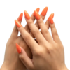 Set Esmaltes Primavera / Bloom Your Color