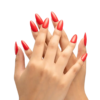 Set Esmaltes Primavera / Bloom Your Color